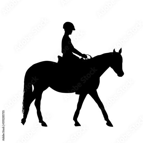 rider on a horse, rider and horse silhouette isolated