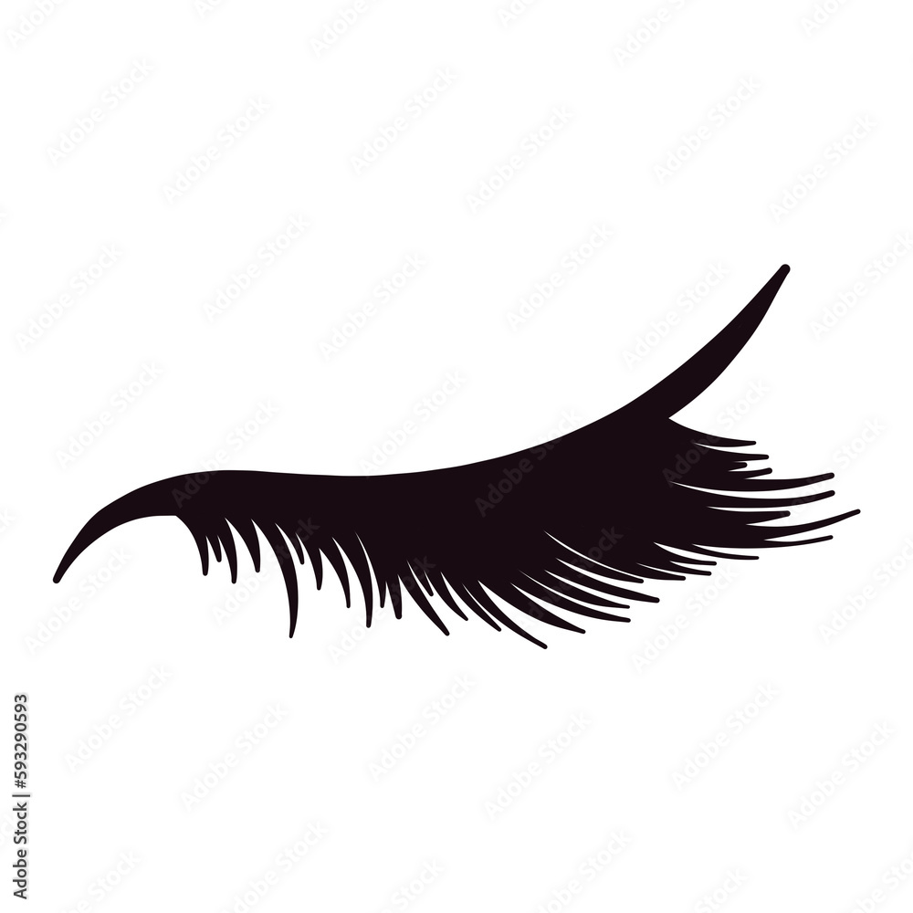 Black Beautiful Lash Drawing