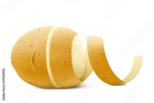 Realistic Half Peeled Potato with twisted peel . Close up 3d vector illustration isolated on white background. Food ingredients,