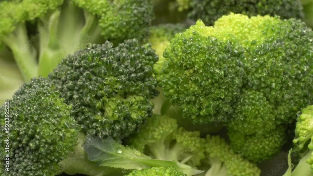 360 degree rotation of Broccoli vegetable. Bunch of broccoli kept on white background. 360 degree rotation of Broccoli vegetable. Bunch of broccoli kept on white background.