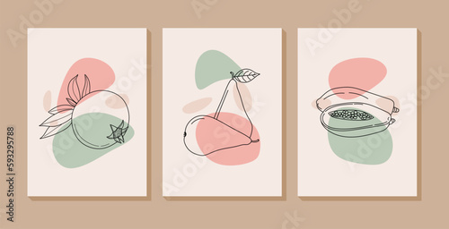 Abstract fruits wall art collection with Pomegranate, Pear and Papaya. Set of healty food with organic shapes for print, wallpaper, interior, poster, cover, banner. Vector illustration