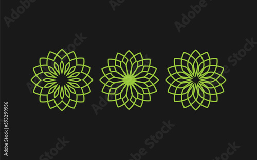 Set of 3 Different Flowers Leaves Symbols