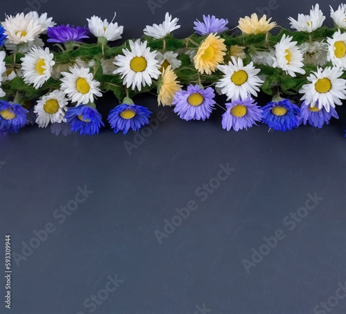 Garland of multi-colored daisies on a blue background. Copy space below for your design.Flowers on a wooden background