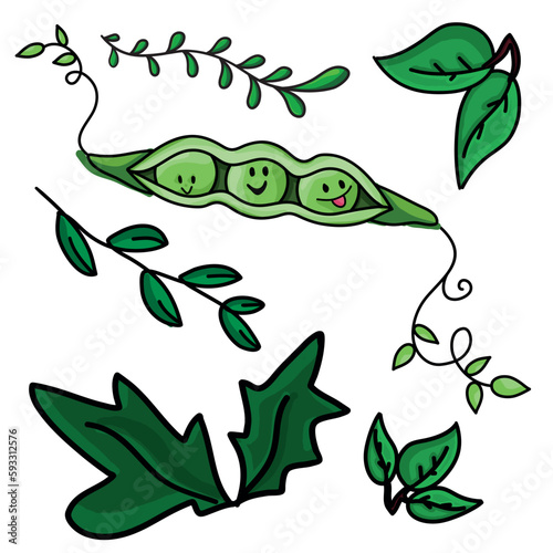 Cute vector illustration for children. Smiling peas and a few leaves