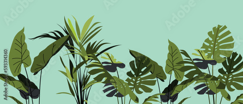 Vector of a beautiful green background with empty field and green plants