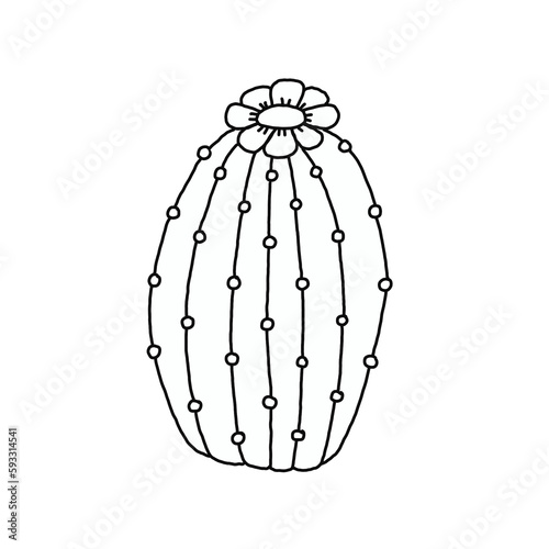 Minimal Cactus Medium