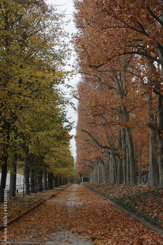 Fototapeta premium Soviet War Memorial (Treptower Park)