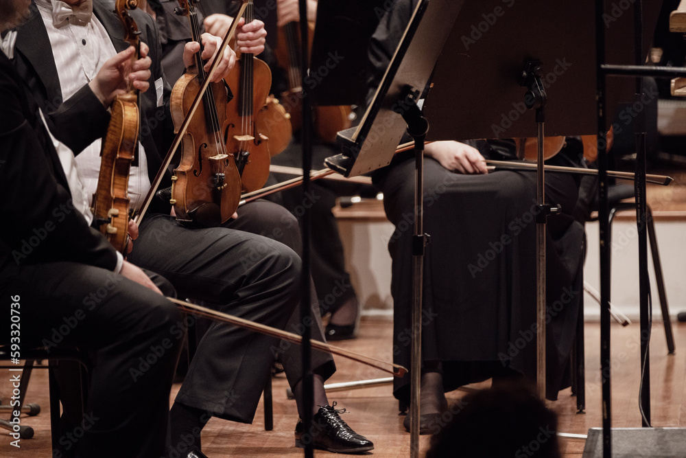 Fototapeta premium A violin section of a classical symphony orchestra dressed in tails, is ready to play a concert