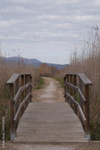 puente de madera en un camino en el campo