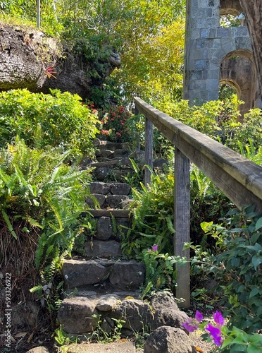 Tropical Garden in St Kitts photo