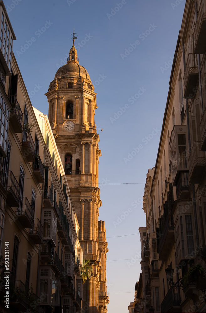 Malaga cathedral, Malaga city, Andalusia, Spain