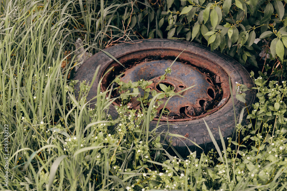 an old car tire as environmental pollution in a meadow an old car tire as environmental pollution in a meadow