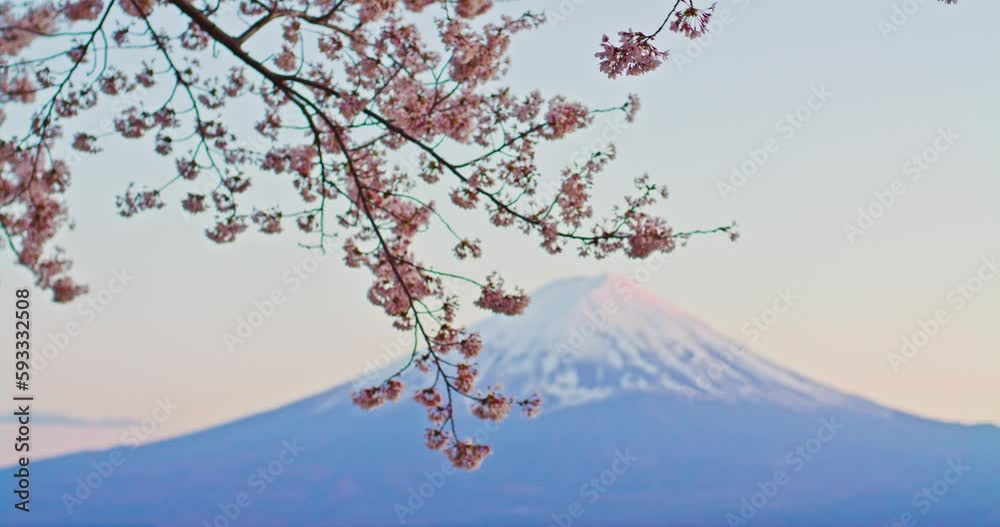 Mount Fuji and Lake Kawaguchi, Tokyo, Japan Mount Fuji and Lake Kawaguchi, Tokyo, Japan