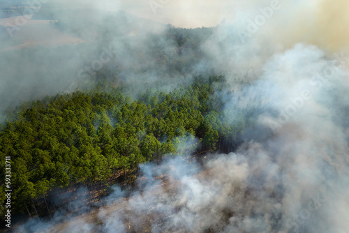 Aerial view of white smoke from forest fire rising up polluting atmosphere. Natural disaster concept