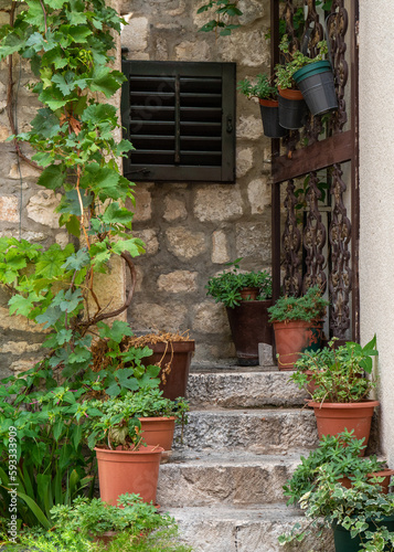 Staircase with flower pots and entrance to the house. Tourist city in Croatia.