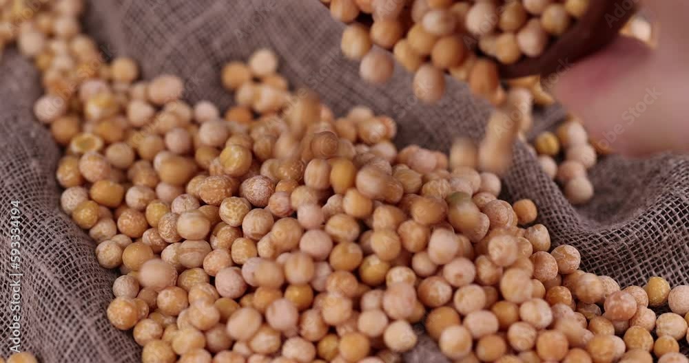 pour dry hard yellow peas for cooking porridge, dry yellow peas scattered before cooking pour dry hard yellow peas for cooking porridge, dry yellow peas scattered before cooking