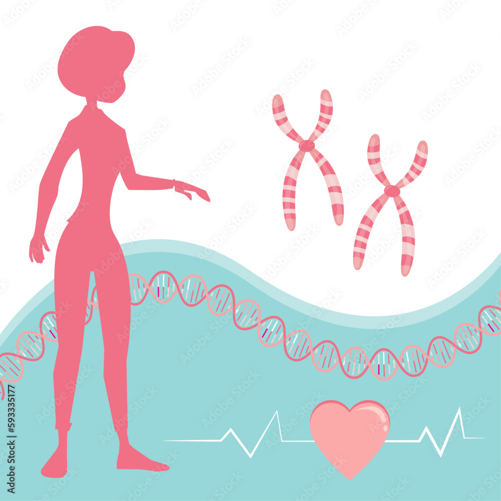Genetic Risk for Heart Disease vector illustration background graphic