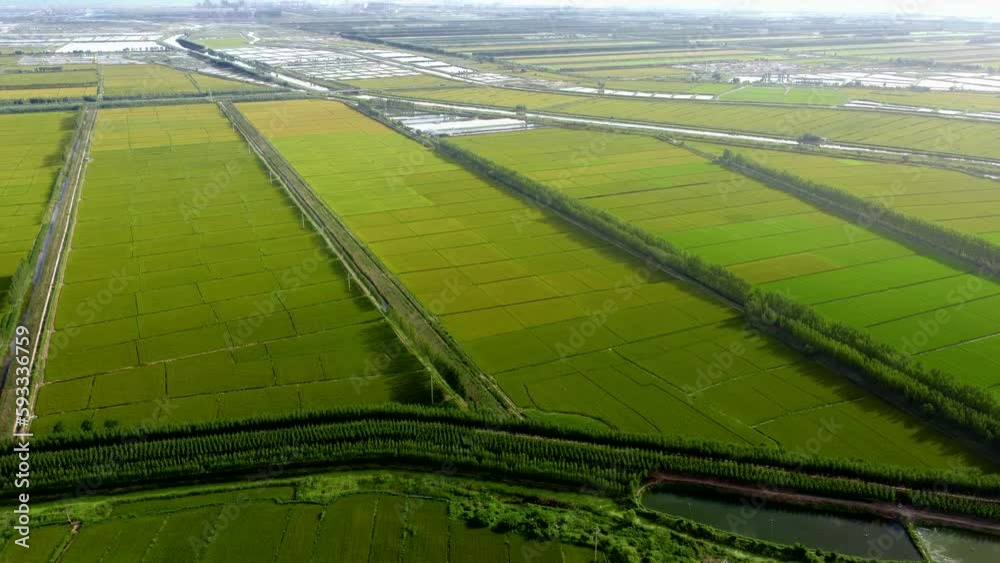 Aerial orbit shot of green farmlands and fields Aerial orbit shot of green farmlands and fields
