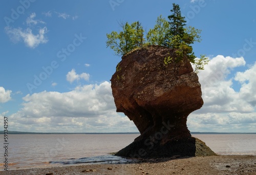 hopewell rock head silhouette-2