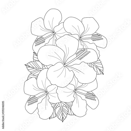Hibiscus Flower Coloring page For Adults