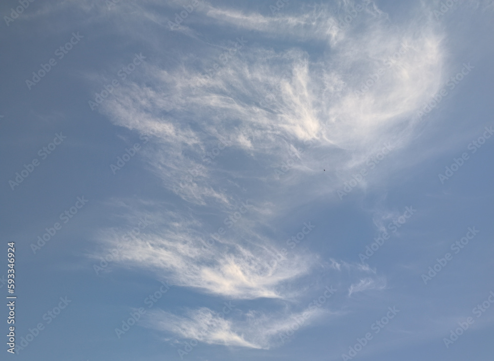 Bird flying in the sky with a very strange blurred clou Bird flying in the sky with a very strange blurred clou