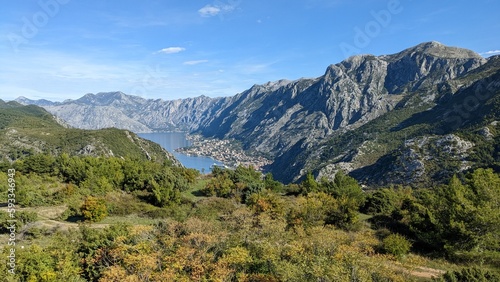 Kotor