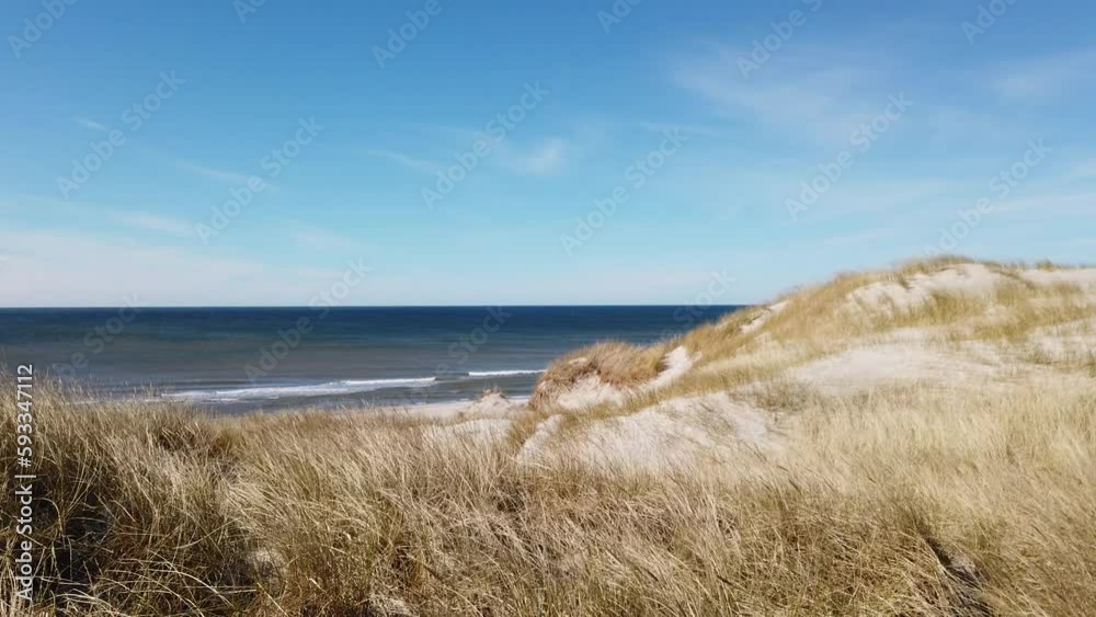 Danish coastline with dune grass