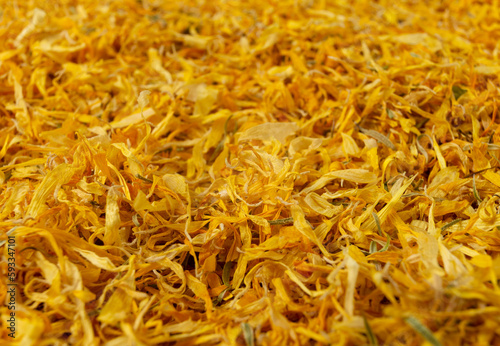 Dried Calendula or Marigold petals. Marigold in latin Calendula officinalis is known for its healing properties. Herbs. Alternative medicine.