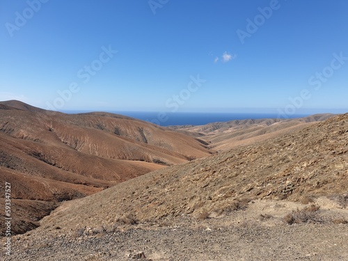 Canary Island Landscape