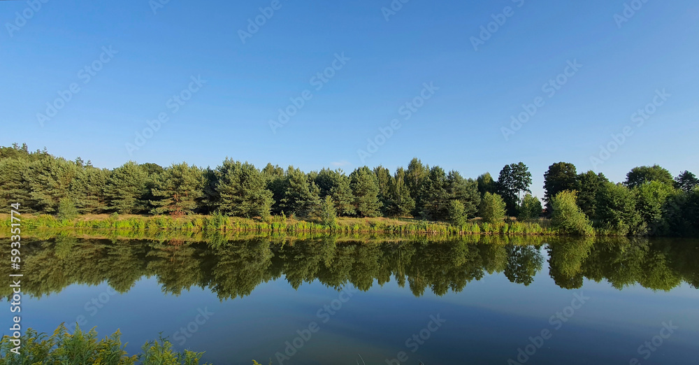 Fototapeta premium Reflections of trees and bushes in the surface of a calm lake on a sunny summer day near Kurów, Pulawy, Poland