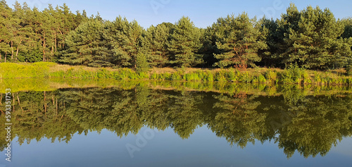 Reflections of trees and bushes in the surface of a calm lake on a sunny summer day near Kurów, Pulawy, Poland photo