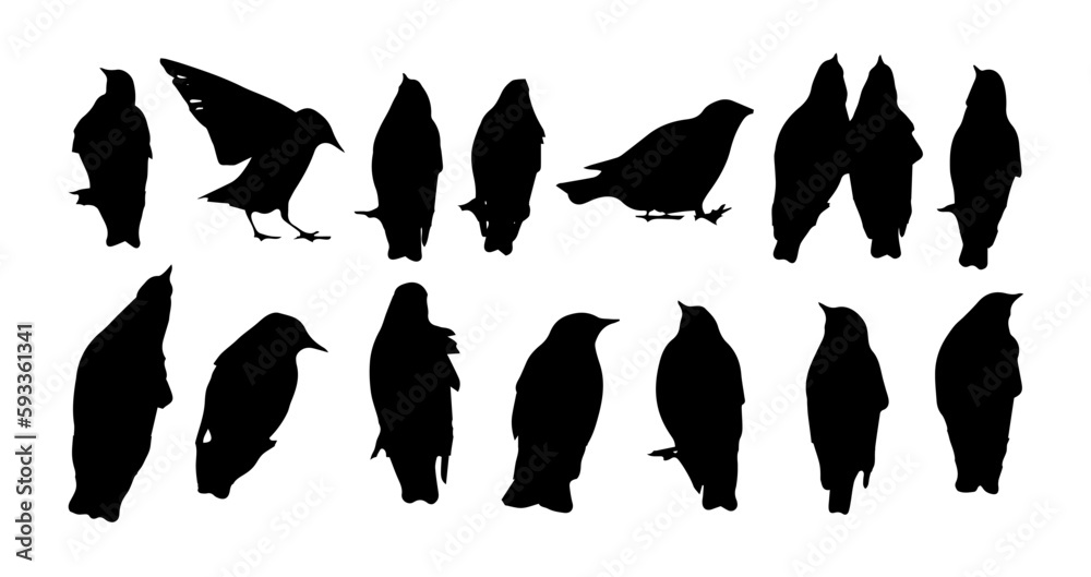Birds on a wire. Silhouettes of sitting starlings. Birds set . Vector illustration Birds on a wire. Silhouettes of sitting starlings. Birds set . Vector illustration