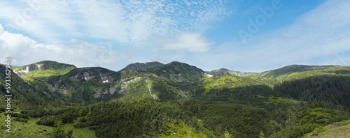 Mountain panorama view with juniper forest and snow remains on ridge in distance. Carpathian mountains, Ukraine.