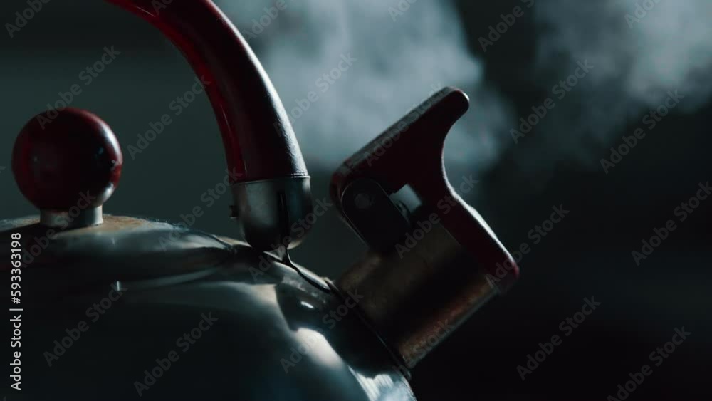 Kettle boiling on a gas stove close-up