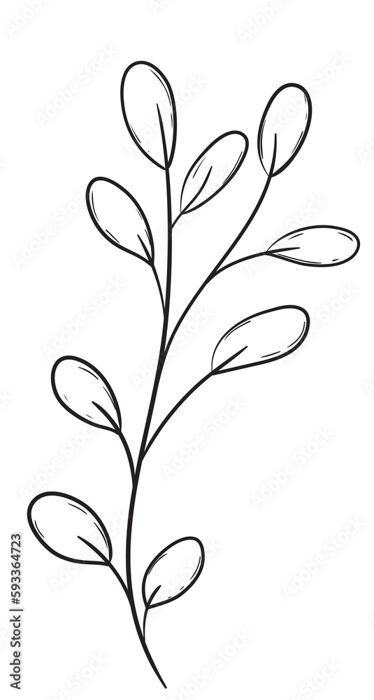 Hand Draw Branch Leaves, Line Art Hand Draw Branch Leaves, Line Art