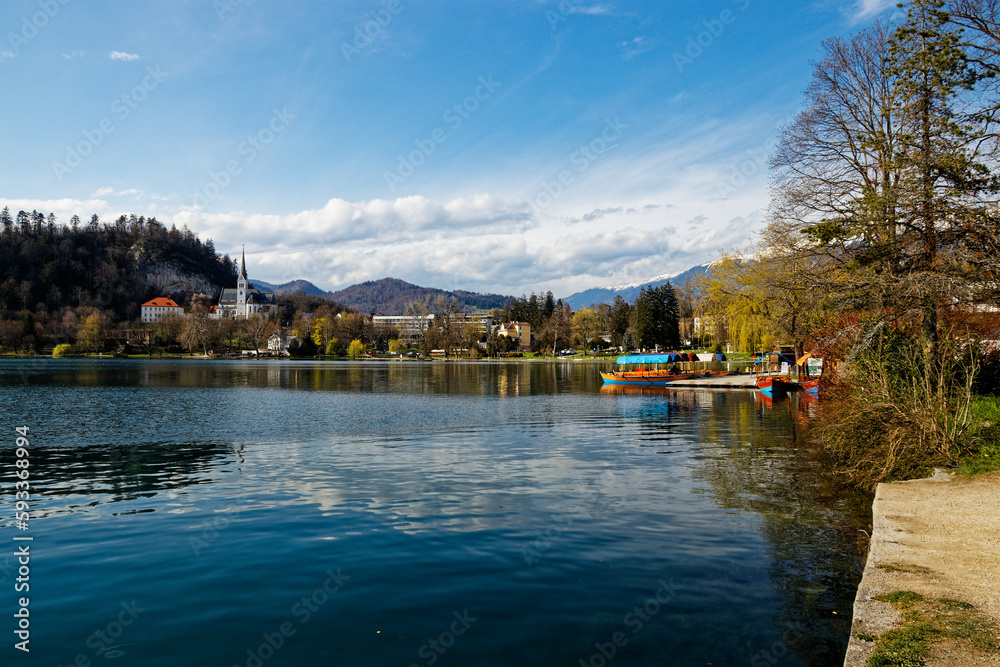 Fototapeta premium lake bled country