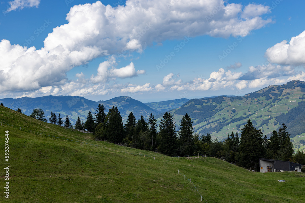 Beautiful view of the hills, mountains and trees in Switzerland.