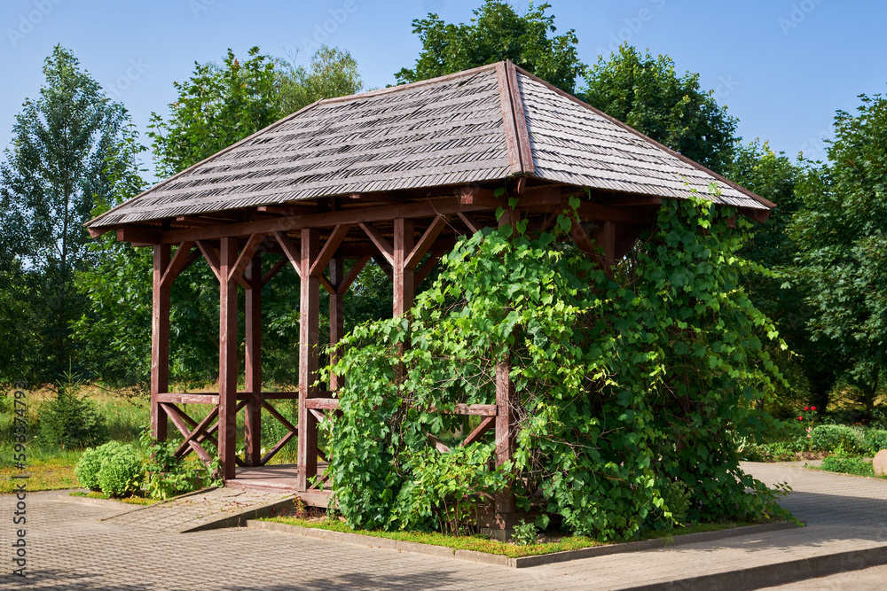 Wooden gazebo in backyard or in summer garden. Summerhouse pergola summerhouse entwined with vine leaves. Wooden gazebo in backyard or in summer garden. Summerhouse pergola summerhouse entwined with vine leaves.