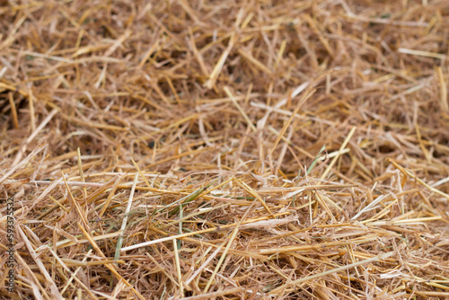 A close up of the hay and straws of the farm