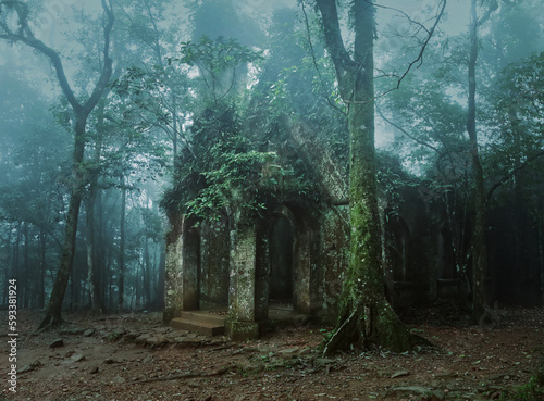Ruined church in the wood 