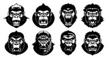 Set of gorilla heads with open mouth and bared fangs, with different angry expressions of the muzzle. Symbols for tattoo, emblem or logo, isolated on a white background.