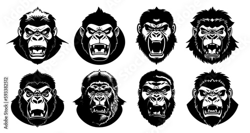 Set of gorilla heads with open mouth and bared fangs, with different angry expressions of the muzzle. Symbols for tattoo, emblem or logo, isolated on a white background.