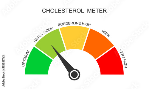 Cholesterol meter dashboard with arrow. Atherosclerosis, hyperlipidemia, hypercholesterolemia risk dial chart. Lipoprotein levels from optimum to very high. Vector flat illustration photo