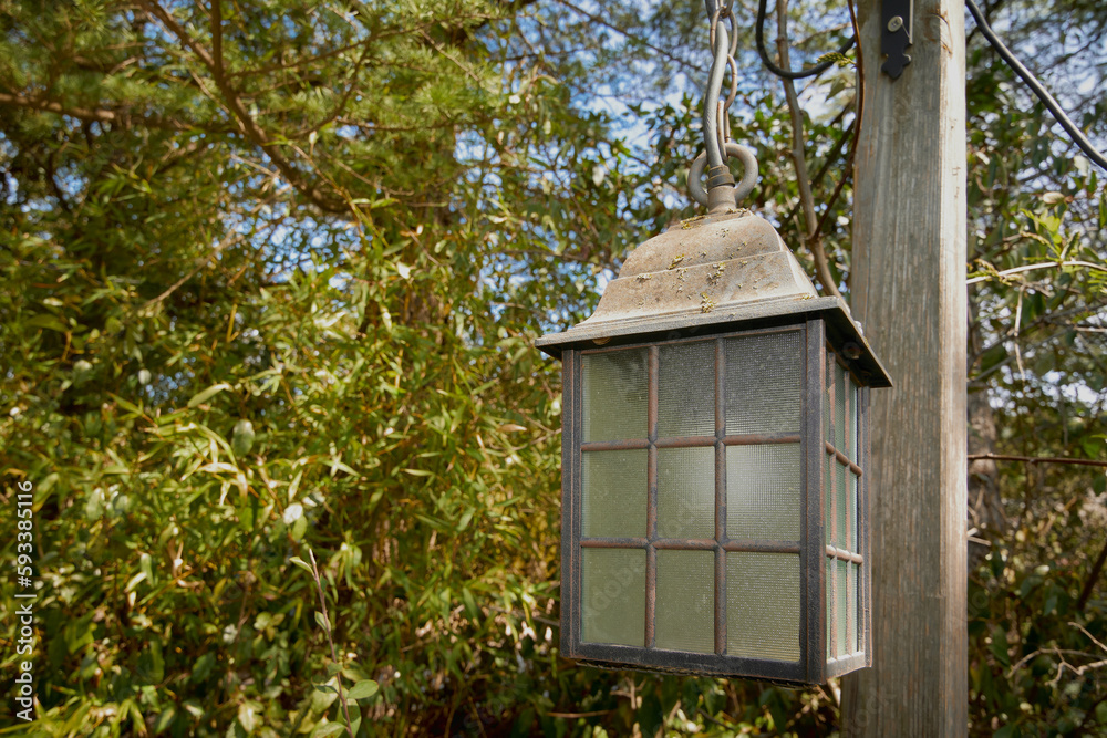 Lantern turned off in daylight attached to a wooden plank and surrounded by vegetation Lantern turned off in daylight attached to a wooden plank and surrounded by vegetation