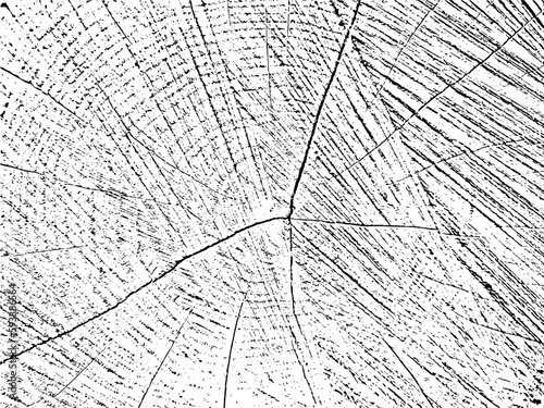 Vintage grunge texture of an old sawn tree with cracks. Monochrome organic background. Perfect for vintage, rustic, and abstract designs