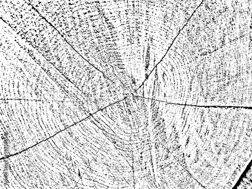 Unique, natural grunge texture featuring a cross-section of a tree with cracks and concentric circles. Monochrome, organic background ideal for vintage, rustic, and abstract designs