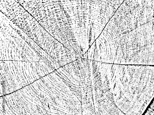 Authentic grunge texture of a tree cross-section with cracks. Natural, monochromatic, and organic background for vintage, rustic, or abstract designs. Use as a template for texture overlay