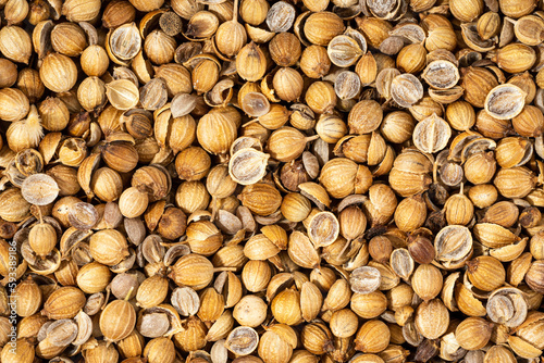 Organic Dried coriander seeds Coriandrum sativum closeup background texture. Additive ingredient for the preparation of delicious delicacies. Top view  Spicy food concept