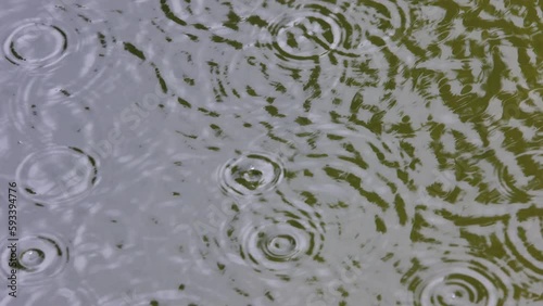 raindrops fall into the water,slow motion,raindrops create small waves on the water surface,