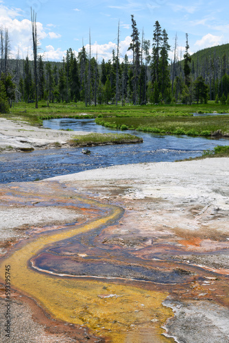 Yellowstone's Thermal Rivers of Yellow Bacteria